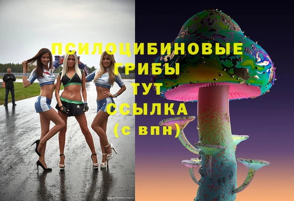 мяу мяу мука Беломорск