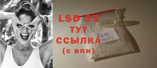 шишки Белокуриха