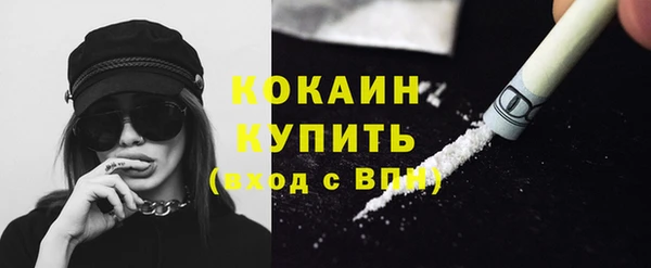 мдпв Богданович