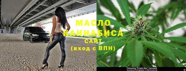 мдпв Богданович