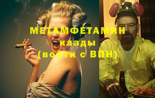 шишки Белокуриха