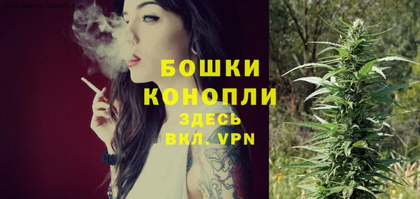 спиды Богородск
