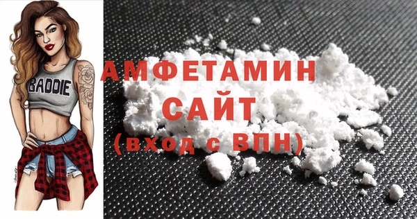 шишки Белокуриха