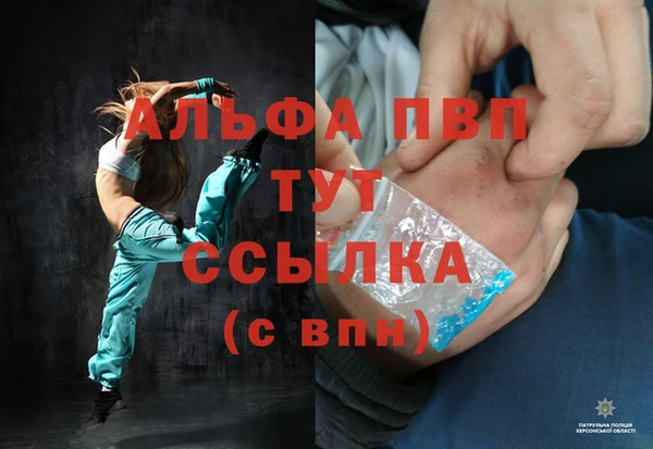 дмт Покачи