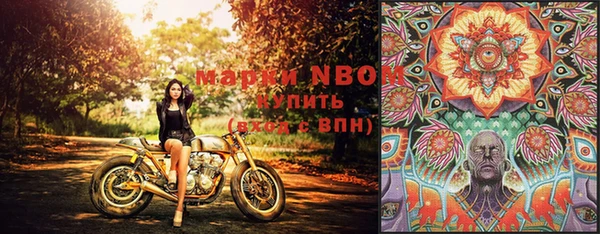 мдпв Богданович