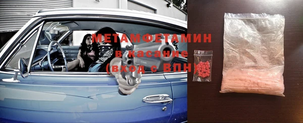 шишки Белокуриха